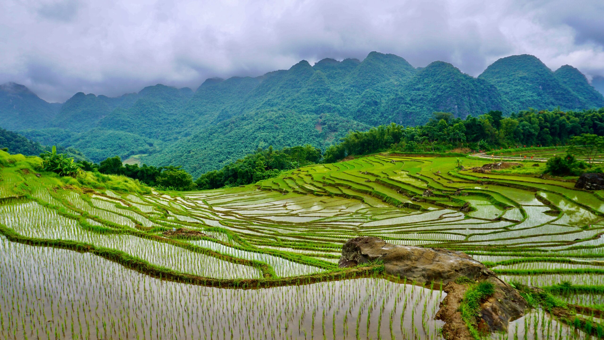 Backpacken in Vietnam: deze bestemmingen wil je niet missen
